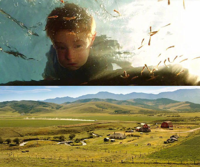 1730250625102415.png image.png